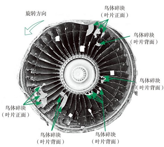 图片26.jpg