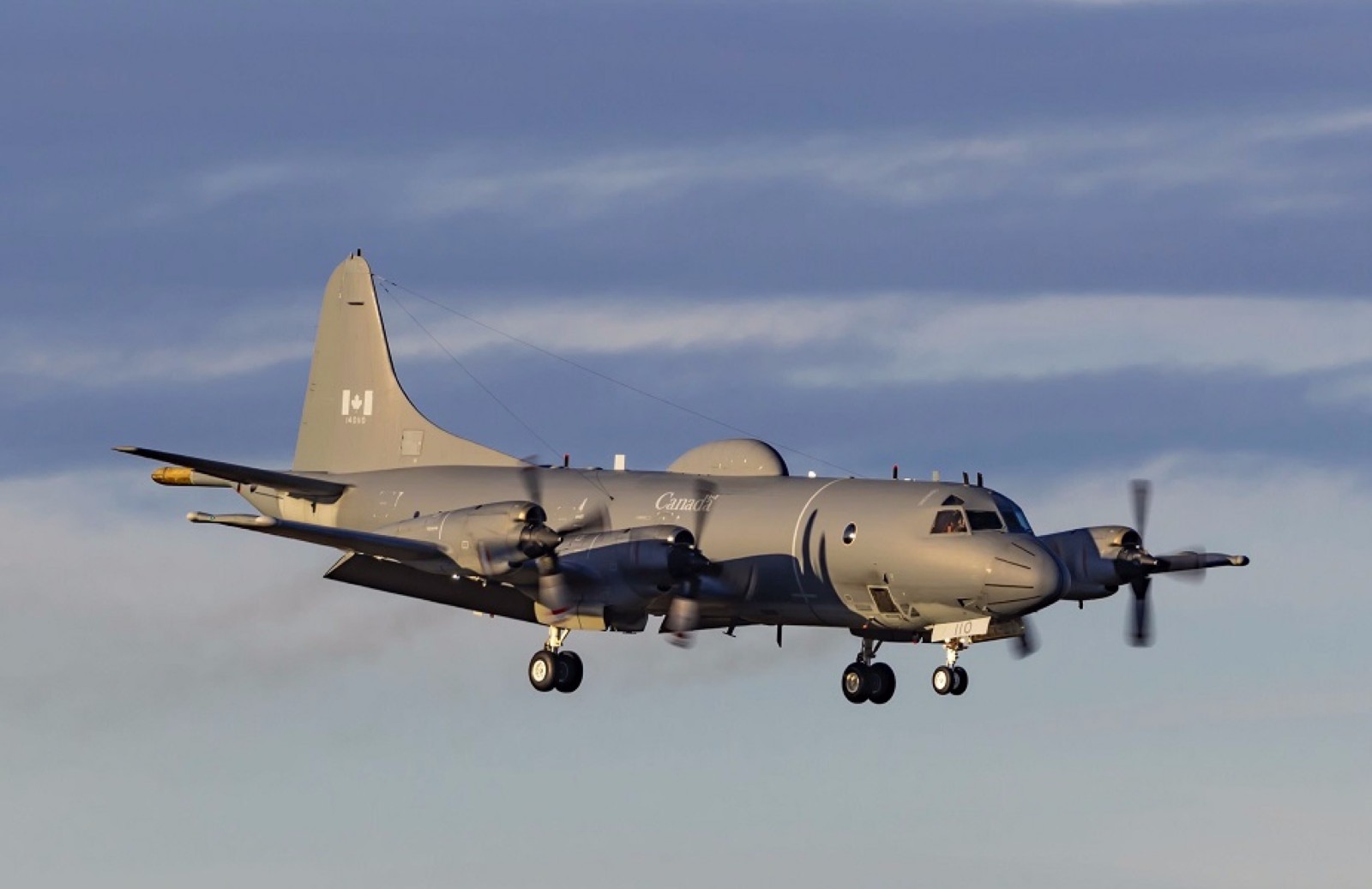 20220225-1.jpg